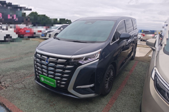 腾势D9 2022款 DM-i 1040 尊贵型