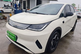 比亚迪 海豚 2025款 智驾版 420km 自由版