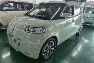 欧拉白猫 2020款 305km 豪华型