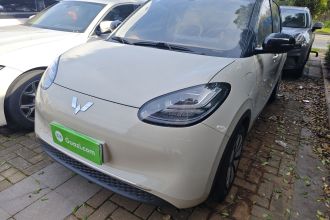 五菱汽车 五菱缤果 2024款 333km 悦享款