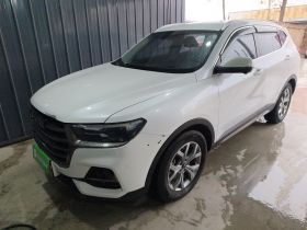 哈弗H6 2021款 国潮版 1.5T 自动冠军版