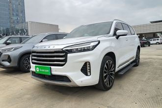 星途揽月 2021款 390T 两驱星睿版