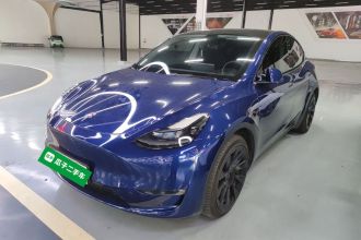 特斯拉 Model Y 2021款 长续航全轮驱动版