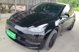 特斯拉 Model Y 2021款 标准续航后驱版