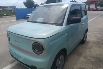 吉利银河 2024款 熊猫mini 200km 龙腾PRO版