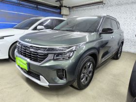 起亚 赛图斯 2023款 1.5L CVT豪华版
