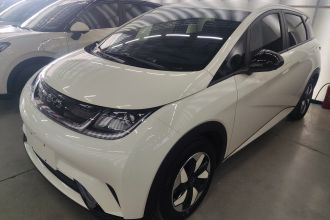 比亚迪 海豚 2024款 荣耀版 420km 自由版