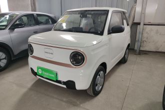吉利银河 2024款 熊猫mini 200km 耐力熊
