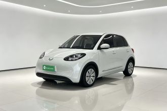 五菱汽车 五菱缤果 2023款 203km 轻享款