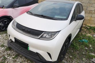 比亚迪 海豚 2021款 405km 时尚版