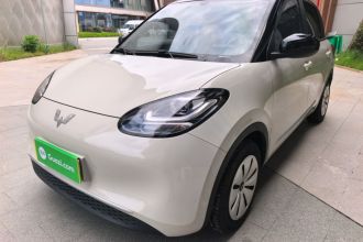 五菱汽车 五菱缤果 2023款 203km 轻享款