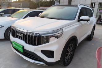 起亚 智跑 2021款 Ace 2.0L 精彩版