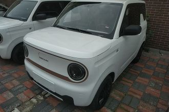 吉利银河 2024款 熊猫mini 200km 耐力熊