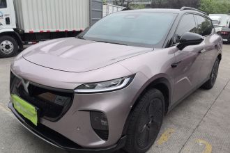 岚图汽车 岚图知音 2024款 四驱全球版