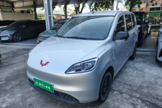 五菱汽车 五菱宏光新能源 2024款 纯电版 300KM 标准型
