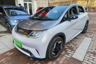 比亚迪 海豚 2021款 405km 时尚版