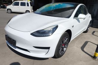 特斯拉 Model 3 2019款 标准续航后驱升级版