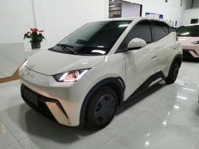 比亚迪 海鸥 2025款 305km 活力版