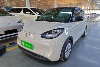 五菱汽车 五菱缤果 2023款 333km 快享款