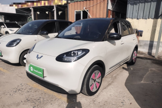 五菱汽车 五菱缤果 2023款 203km 轻享款