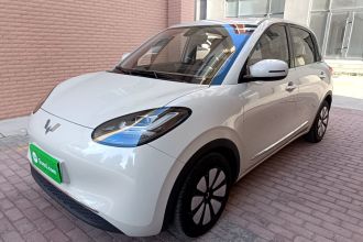 五菱汽车 五菱缤果 2023款 203km 舒享款