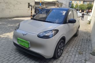 五菱汽车 五菱缤果 2024款 333km 悦享款