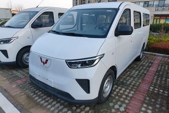 五菱汽车 五菱扬光 2024款 300KM 舒适型客车版 75kW