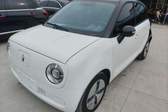 欧拉黑猫 2021款 301km 萌宠版