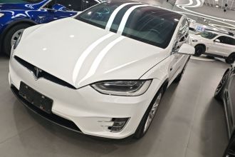 特斯拉 Model X 2019款 标准续航版