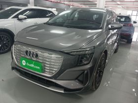 奥迪Q5 e-tron 2023款 40 e-tron 星耀型 机甲套装