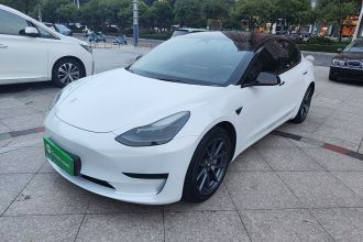 特斯拉 Model 3 2021款 标准续航后驱升级版 3D6