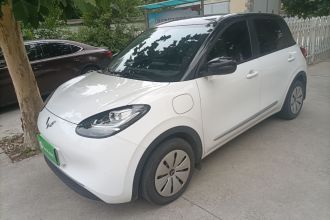 五菱汽车 五菱缤果 2024款 203km 轻享款