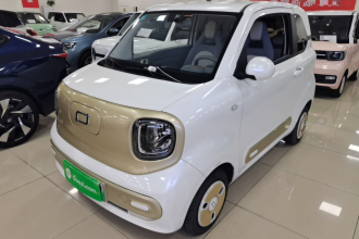 奔腾小马 2025款 222km 闪电马