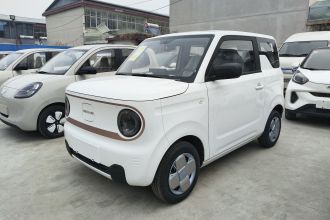 吉利银河 2024款 熊猫mini 200km 耐力熊