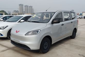 五菱汽车 五菱宏光新能源 2024款 纯电版 300KM 标准型