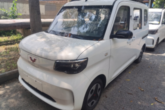 五菱汽车 五菱之光新能源 2025款 305km 进取型