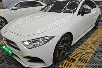 奔驰CLS 2020款 CLS 300 动感型
