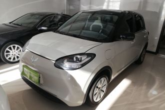 五菱汽车 五菱缤果 2023款 333km 快享款