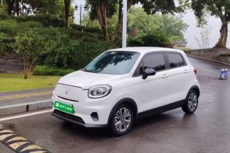 零跑汽车 零跑T03 2021款 400轻享版 磷酸铁锂