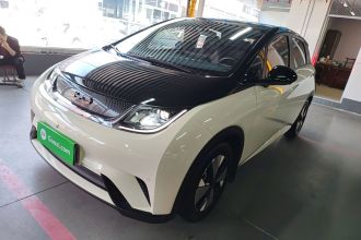 比亚迪 海豚 2023款 420km 时尚版