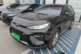 丰田 威兰达 2021款 2.0L CVT两驱豪华版