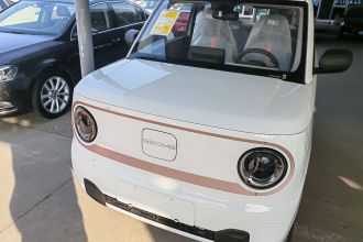 吉利银河 2024款 熊猫mini 200km 耐力熊