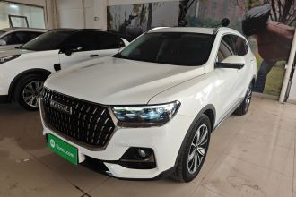 哈弗H6 2023款 国潮版 1.5T 自动冠军版