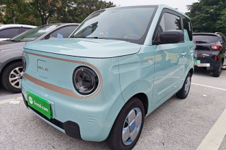 吉利银河 2023款 熊猫mini 200km 耐力熊