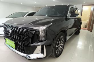 广汽传祺 传祺GS8 2022款 双擎系列 2.0TM 两驱尊贵版 （七座）