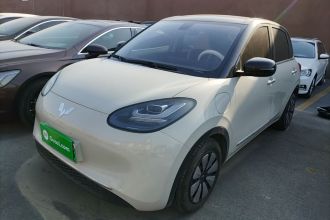 五菱汽车 五菱缤果 2023款 410km 灵犀尊享款