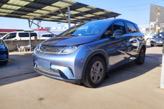 比亚迪 海豚 2024款 荣耀版 302km 活力版