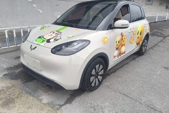 五菱汽车 五菱缤果 2023款 203km 舒享款