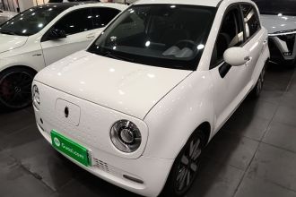 欧拉黑猫 2021款 351km 豪华型