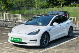 特斯拉 Model 3 2021款 标准续航后驱升级版 3D6